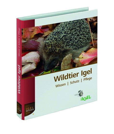 das Geheimnis des Igels 2025